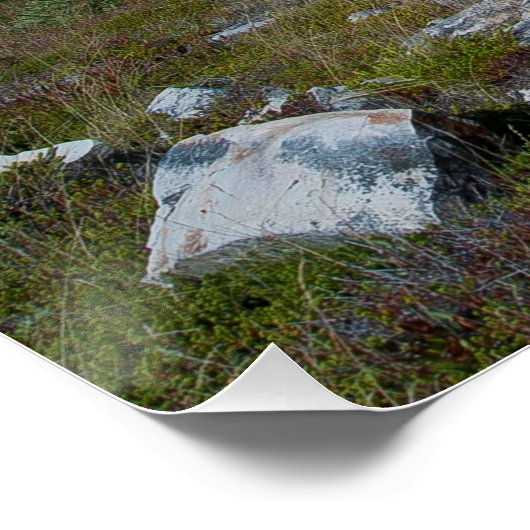 Bell Island Newfoundland Poster (Hoek)