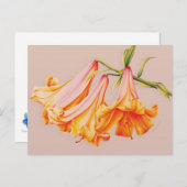 Bell liegt prima kunst door Sarah Trett briefkaart (Voorkant / Achterkant)