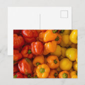 Bell Peppers Foto Briefkaart (Voorkant / Achterkant)