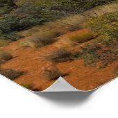 Bell Rock in Sedona, Arizona Poster 6522 (Hoek)