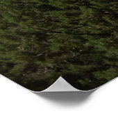 Bell Rock in Sedona AZ 087 Poster (Hoek)