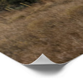 Bell Rock in Winter 2001 Poster (Hoek)