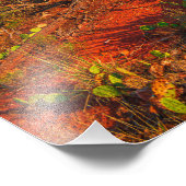 Bell Rock, Sedona, Arizona Photo Print Foto Afdruk (Hoek)