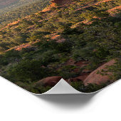 Bell Rock Sunset Poster (Hoek)