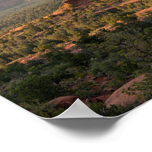 Bell Rock Sunset Poster (Hoek)