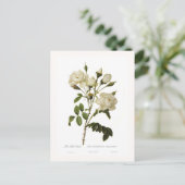 Bell roos briefkaart (Staand voorkant)