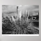 Bell Tower, Pampas Grass, december 1966 Poster (Voorkant)