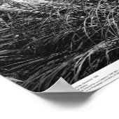 Bell Tower, Pampas Grass, december 1966 Poster (Hoek)