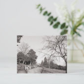 Bell Vue Park, Newport, Mon Briefkaart (Staand voorkant)