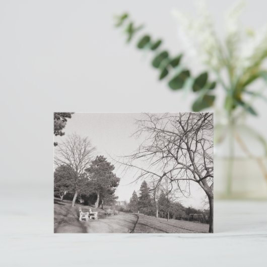 Bell Vue Park, Newport, Mon Briefkaart (Staand voorkant)