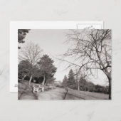 Bell Vue Park, Newport, Mon Briefkaart (Voorkant / Achterkant)