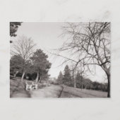 Bell Vue Park, Newport, Mon Briefkaart (Voorkant)