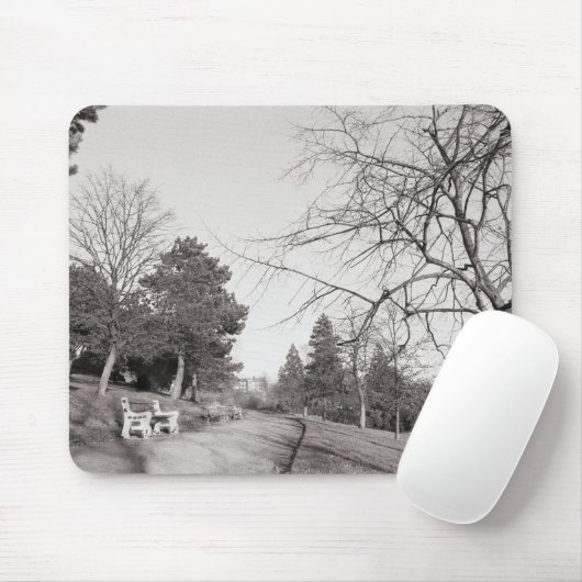 Bell Vue Park, Newport, Mon (dec 1977) Muismat (Met muis)