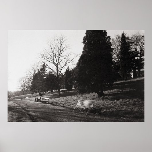 Bell Vue Park, Newport, Mon (dec 1977) Poster (Voorkant)