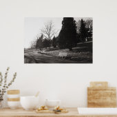 Bell Vue Park, Newport, Mon (dec 1977) Poster (Keuken)