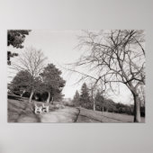 Bell Vue Park, Newport, Mon (dec 1977) Poster (Voorkant)