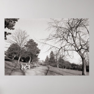 Bell Vue Park, Newport, Mon (dec 1977) Poster