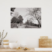 Bell Vue Park, Newport, Mon (dec 1977) Poster (Keuken)