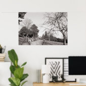 Bell Vue Park, Newport, Mon (dec 1977) Poster (Thuiskantoor)