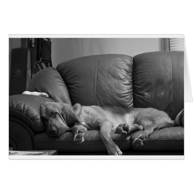 Bella (Voorkant Horizontaal)