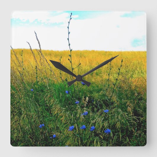 Bella Blue - Chicory Vierkante Klok (Voorkant)