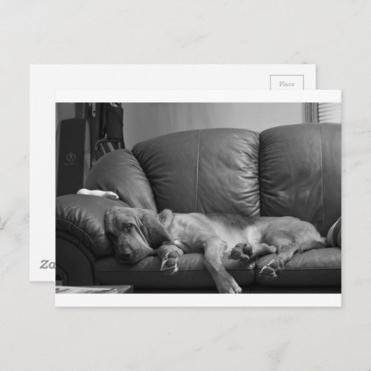 Bella Briefkaart (Voorkant / Achterkant)