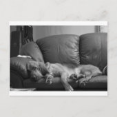 Bella Briefkaart (Voorkant)