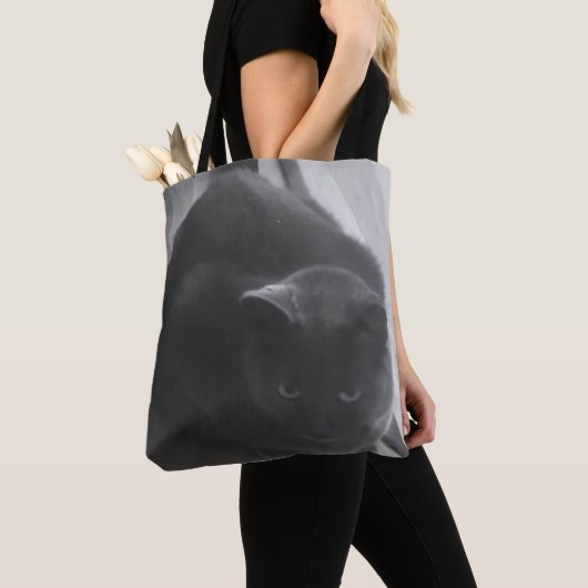 Bella-canvas tas (Dichtbij)