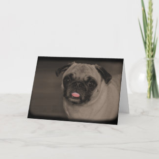 Bella Donna-Wenskaart Kaart