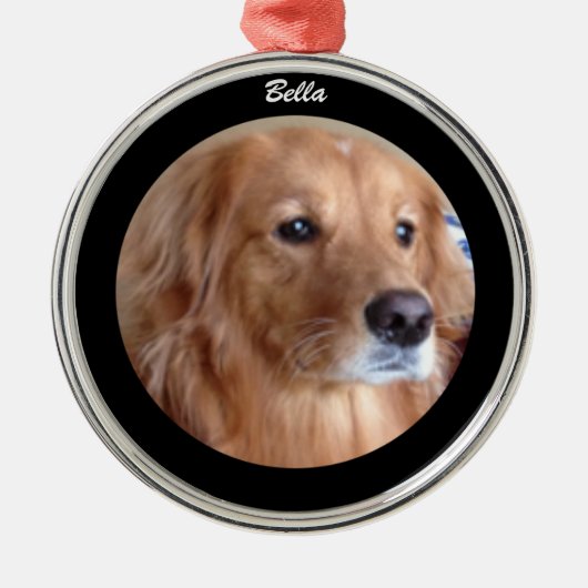 Bella Golden Retriever Round Ornament, aangepast Metalen Ornament (Voorkant)