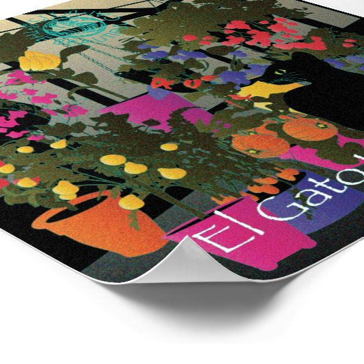 Bella: Het prachtige kat van 6 x 6 Poster (Hoek)