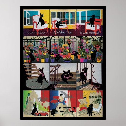 Bella: Het prachtige Poster met een kat van 18 x 2 (Voorkant)