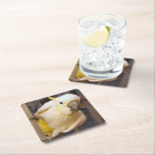 Bella jongen kartonnen onderzetters (Insitu)