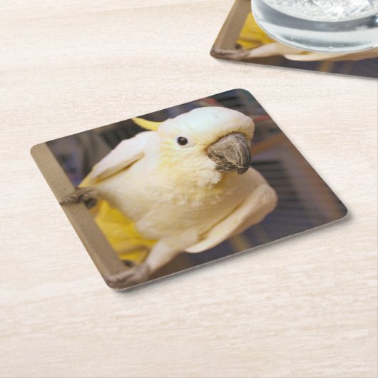 Bella jongen kartonnen onderzetters (Schuin)