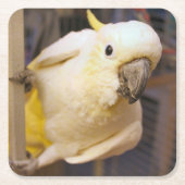 Bella jongen kartonnen onderzetters (Voorkant)