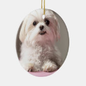 Bella Laten we naar Maltezer Ornament gaan kijken (Rechts)