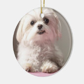 Bella Laten we naar Maltezer Ornament gaan kijken (Links)