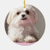 Bella Laten we naar Maltezer Ornament gaan kijken (Achterkant)