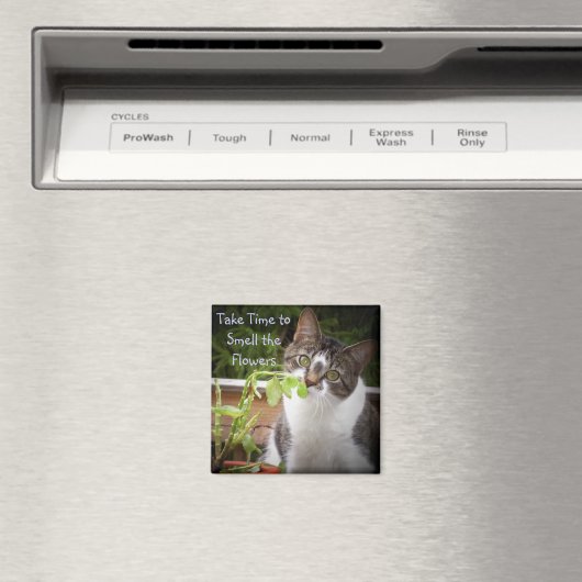 "BELLA" MAGNEET (Insitu (Vaatwasser))