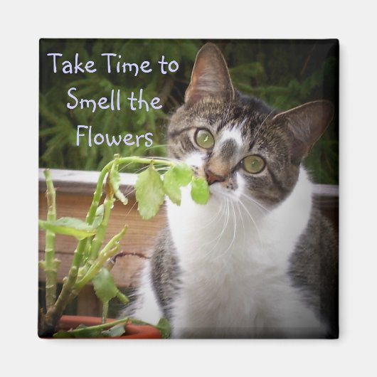 "BELLA" MAGNEET (Voorkant)