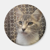 Bella Magnet (Voorkant)