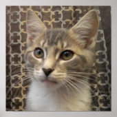 Bella Poster (Voorkant)