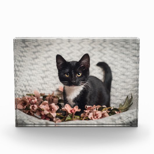 Bella-Roos Fotoblokken (Voorkant)