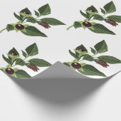 Belladonna Cadeaupapier (Hoek)