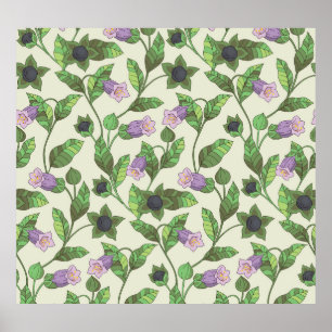 Belladonna Flowers:  bloemenillustratie Poster