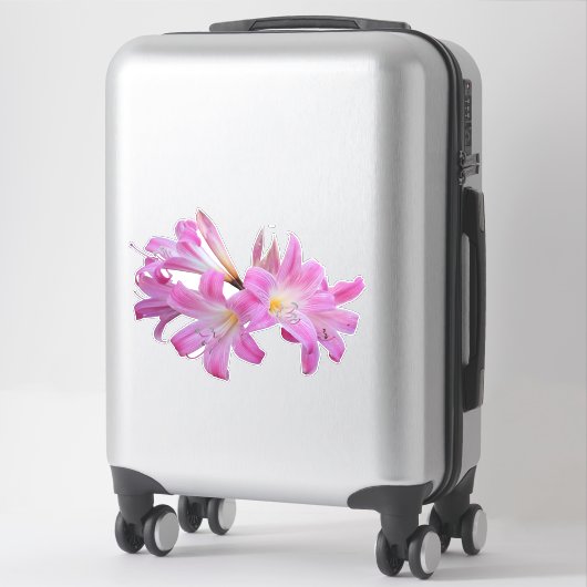 Belladonna Lily Jersey Bloem Sticker (Koffer)