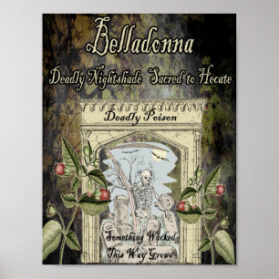 BELLADONNA WITCH'S HERB POSTER