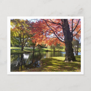 Bellarmine Pond, Fairfield University Briefkaart 