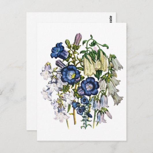 Bellbloemen Briefkaart (Voorkant / Achterkant)