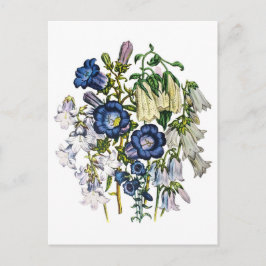Bellbloemen Briefkaart